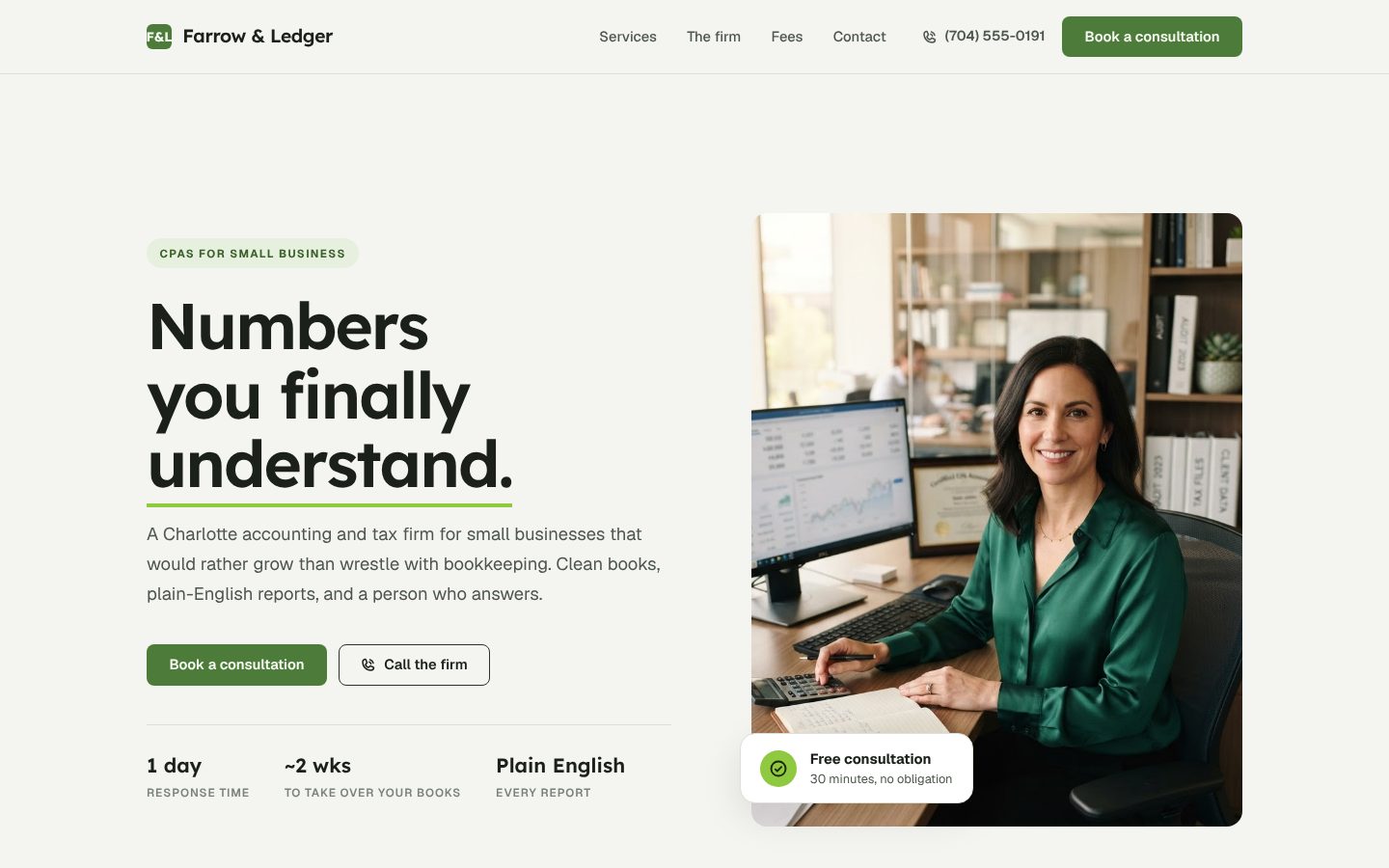 Preview of a accountant website