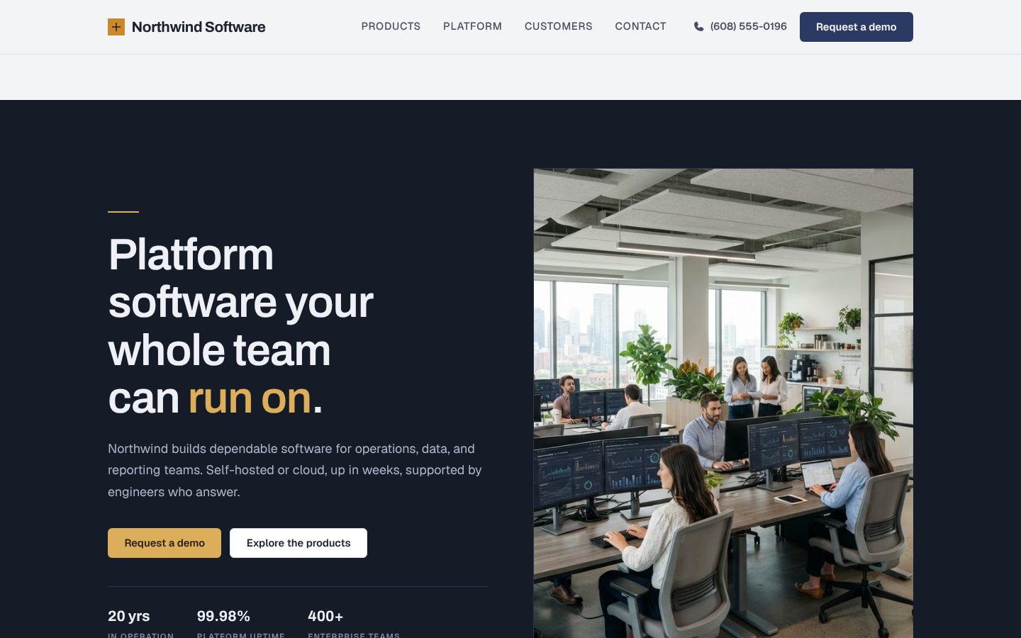 Preview of a software company website